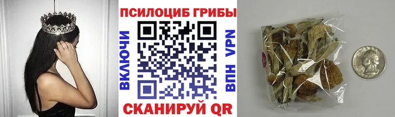 Галлюциногенные грибы мухоморы наркота Перевоз